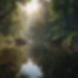 Serene landscape showcasing tranquility