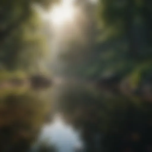 Serene landscape showcasing tranquility