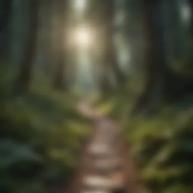 Journey of Life A winding path through a forest, illustrating the journey of life
