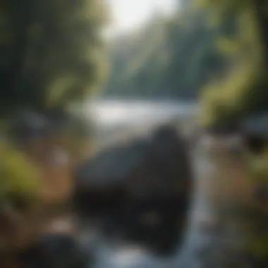 Embracing Tranquility A serene landscape symbolizing tranquility and mindfulness