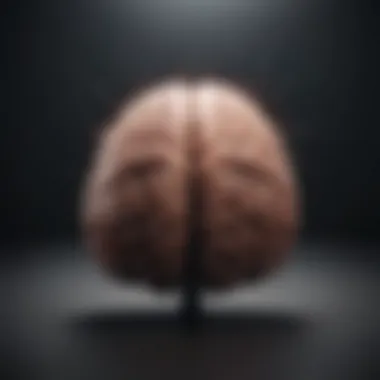 Understanding Emotional Responses A brain with highlighted areas indicating emotional processing