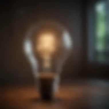 Illuminating New Perspectives A lightbulb representing new perspectives