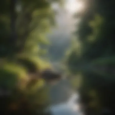 A serene landscape reflecting peace and tranquility