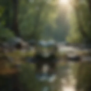 Tranquil Landscape of Love A serene landscape embodying tranquility and connection