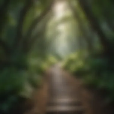 Nature's Embrace: A Journey Towards Personal Growth An inviting nature trail surrounded by lush greenery, encouraging introspection