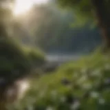 A serene landscape symbolizing tranquility amidst chaos