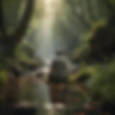 Journey to Self-Discovery A person meditating in nature, representing mindfulness and self-discovery