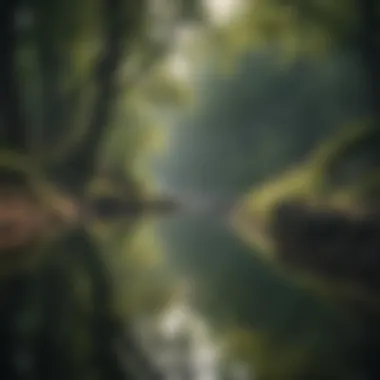 Solitude in Nature A serene landscape depicting solitude and reflection