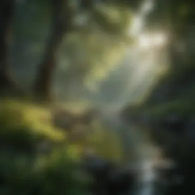 Nature scene enhancing relaxation and mindfulness Calming nature scene promoting relaxation