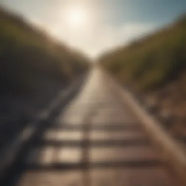 Pathway to Self-Realization A pathway leading towards a bright horizon, symbolizing the journey towards self-realization