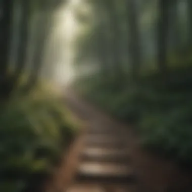 Journey of Transformation A winding path through a forest, symbolizing the journey of personal transformation