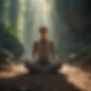 Visualization techniques for meditation with calming imagery