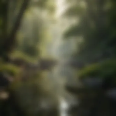 Nature's Embrace: Finding Peace Calm nature scene promoting tranquility and mindfulness