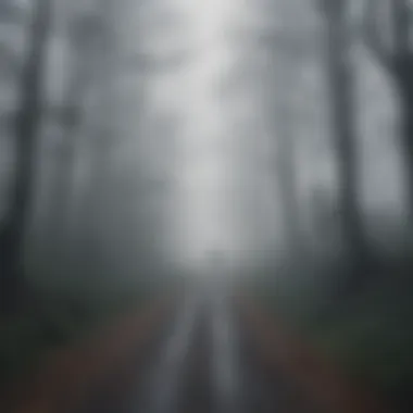 A path through a dense fog, embodying the journey through mental health challenges.