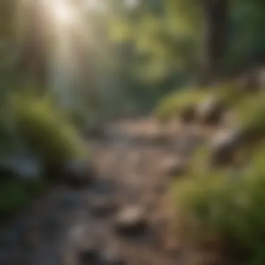 Fostering a Healthier Mindset A serene landscape symbolizing mental clarity