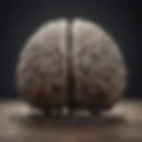 An abstract representation of a brain with tangled thoughts