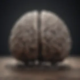 An abstract representation of a brain with tangled thoughts