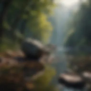 A serene landscape promoting calmness