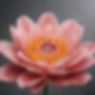 A close-up of a blooming flower, representing personal growth and self-love