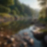 A serene landscape showcasing tranquility and peace