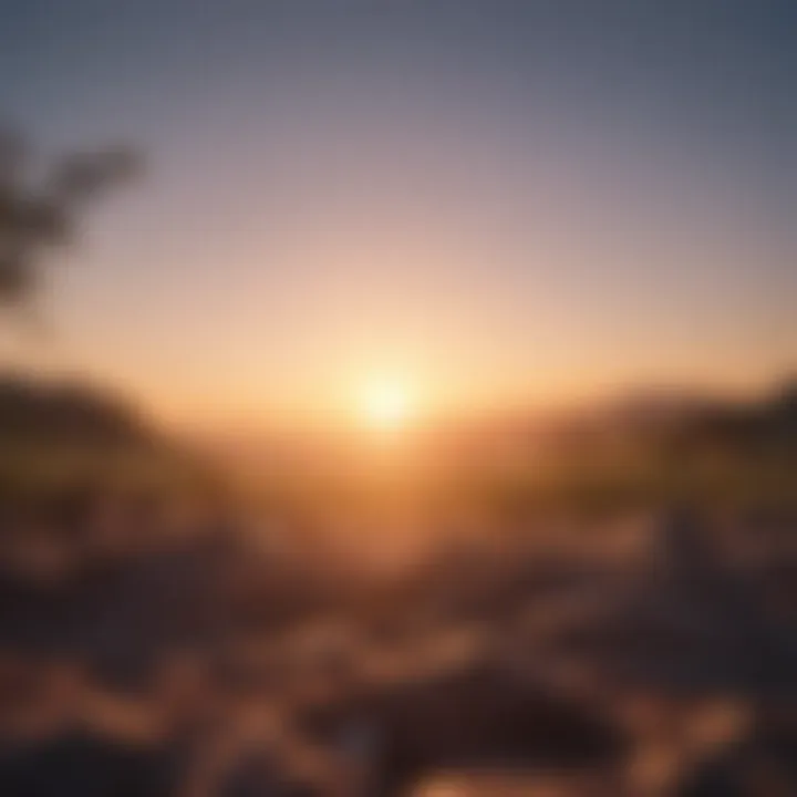 A bright sunrise symbolizing new beginnings and hope