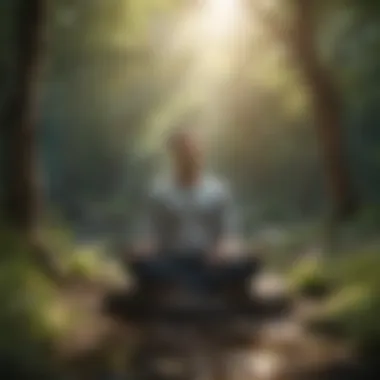 A person meditating in nature, symbolizing inner peace and emotional control