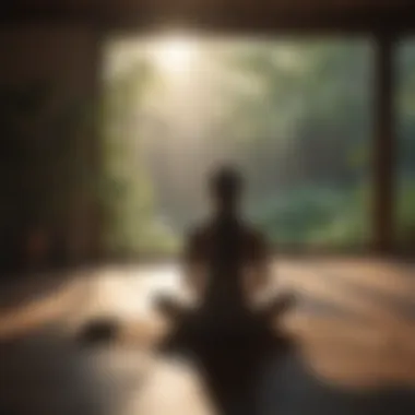 A peaceful meditation scene