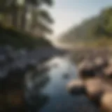 A serene landscape promoting calmness and tranquility