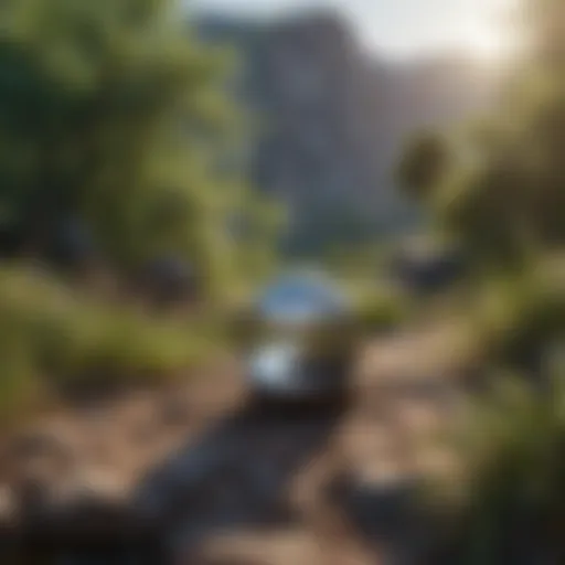 A serene landscape promoting tranquility