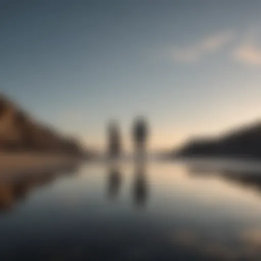A solitary figure gazing at the horizon, symbolizing reflection and letting go.