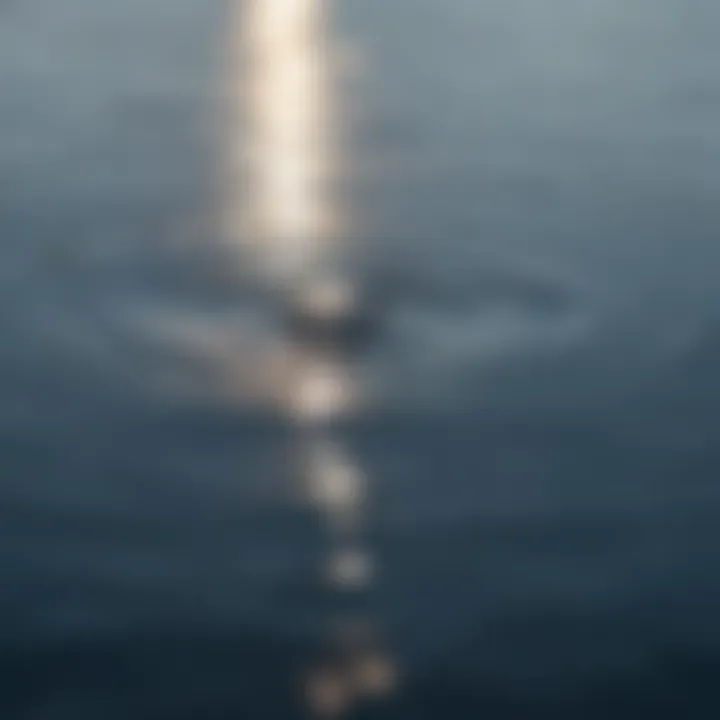 A close-up of a calm water surface, illustrating clarity and focus