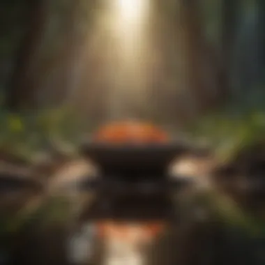 Cultivating Mindfulness for Emotional Balance Mindfulness practice enhancing emotional awareness