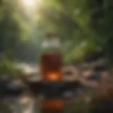 Peaceful meditation scene with nature backdrop