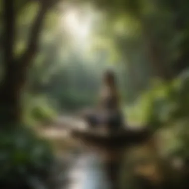 Creating a Personal Oasis for Meditation A peaceful setting for daily meditation practice