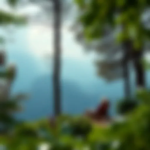 Scenic landscape promoting tranquility