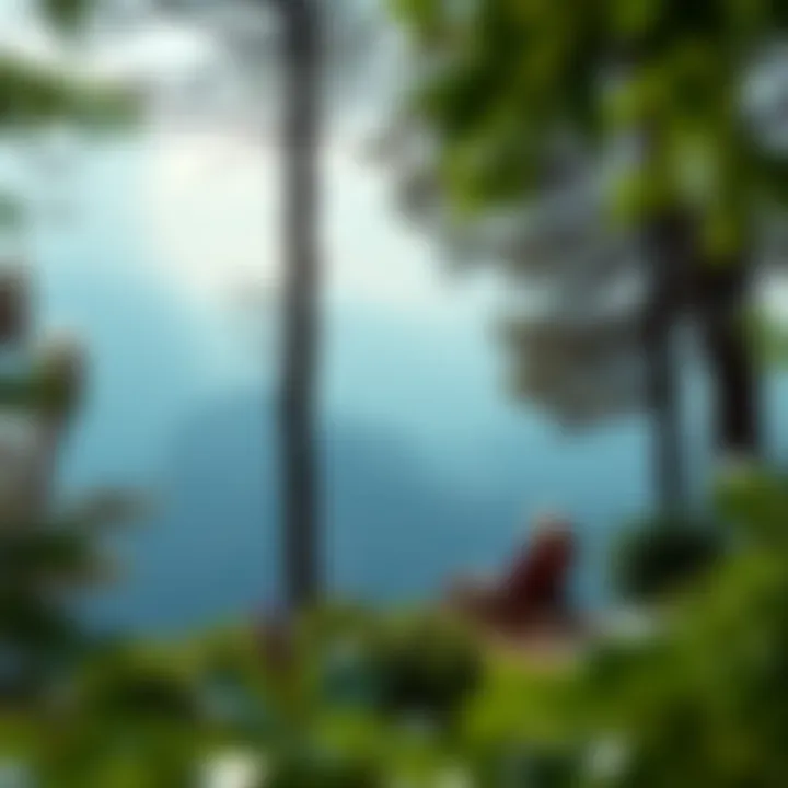Scenic landscape promoting tranquility