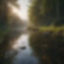 Serene landscape representing calmness amidst anxiety