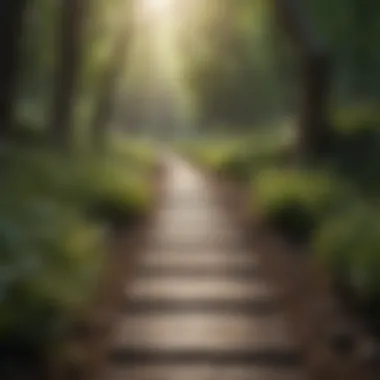 A pathway symbolizing personal growth and moving forward