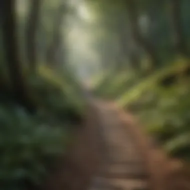 A winding path through a forest representing life's journey and self-discovery