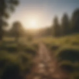 A serene landscape symbolizing tranquility and hope