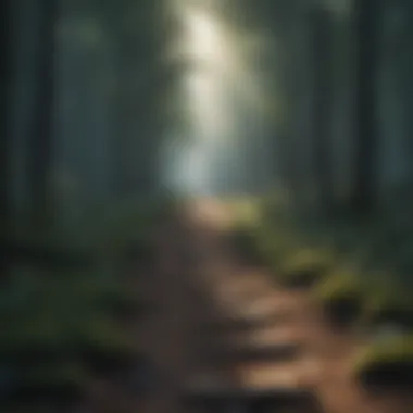Journey Towards Clarity A path through a tranquil forest symbolizing journey