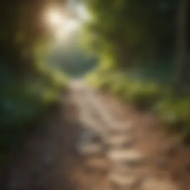 Pathway to Healthier Interactions A pathway leading towards healthier interactions, representing the journey of personal development amidst narcissistic relationships.