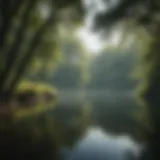 Tranquil nature scene with a serene lake