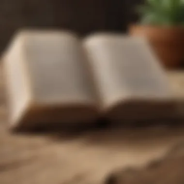 Wisdom of the Scriptures Open Bible with highlighted verses on self-acceptance
