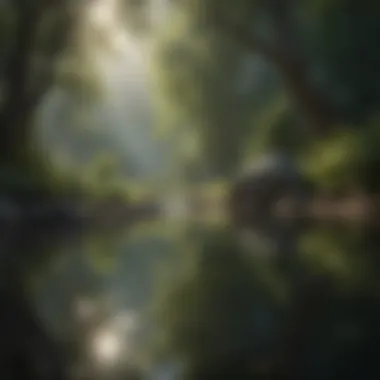Tranquil Nature Setting Serene landscape promoting tranquility