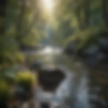 Finding Calm in Nature A serene landscape with calming colors representing tranquility