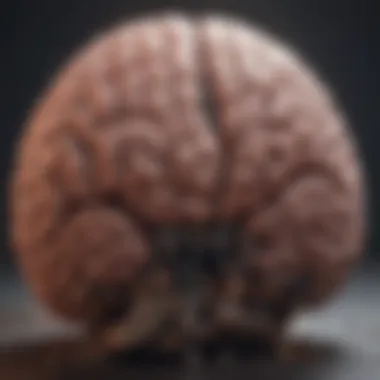 Cognitive restructuring represented through a brain illustration