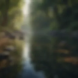 Serene landscape with calming water