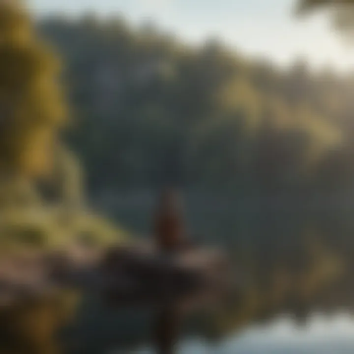 A person sitting quietly by a lakeside, absorbing the solitude