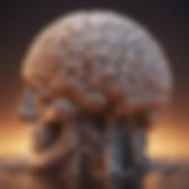 A brain illustration depicting emotional intelligence pathways